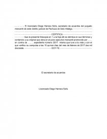 Auto admisorio de juicio ejecutivo mercantil. - Prácticas o problemas -  mikeveraherrera