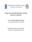 Ensayo actividad agua adsorción y desorción.