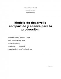 Modelo de desarrollo compartido y alianza para la producción - Ensayos -  liz170714