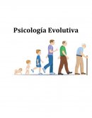 Psicología Evolutiva ¿Por qué existe en sí, una separación de “temáticas” en esta psicología?,