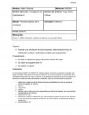 Principios básicos de la simulación