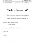 Fiebre puerperal Actividades