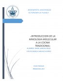 Mixologia Molecular