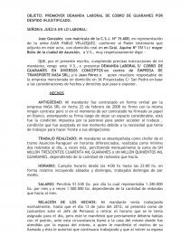 PROMOVER DEMANDA LABORAL DE COBRO DE GUARANIES POR DESPIDO INJUSTIFICADO -  Ensayos - danielr18