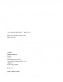 Memorias de practicas de montajes
