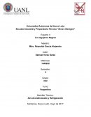 Libro español semestre 2