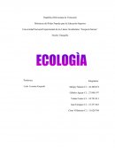 Trabajo de investigación de la Ecología