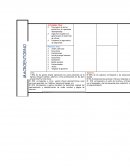 Emprendedor Explicación del lienzo Canvas