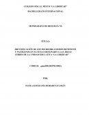 MONOGRAFÍA DE BIOLOGÍA NS