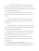 MONITOR MULTIPARAMETRICO