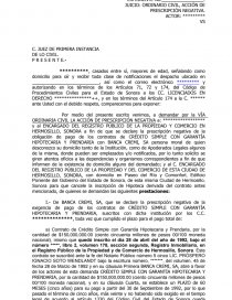 JUICIO: ORDINARIO CIVIL, ACCIÓN DE PRESCRIPCIÓN NEGATIVA - Apuntes -  Marco5581