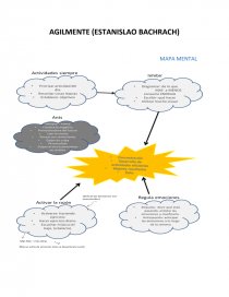 MAPA MENTAL RESUMEN EJECUTIVO - Resúmenes - cdsanchez1