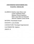 Psicoterapia Grupal