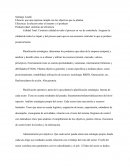 Resumen Gestion y Costos P2 Ibañez