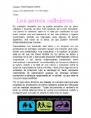 Los perros callejeros