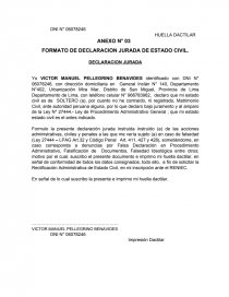 FORMATO DE SOLICITUD DE RECTIFICACION ADMINISTRATIVA DE ESTADO - Apuntes -  CMLP43LAMEJOR