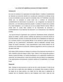 Los colores del capitalismo (procesos del trabajo industrial)