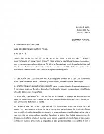 EJEMPLO DE UN DICTAMEN PERICIAL (MÉXICO) - Prácticas o problemas -  JosePadronL