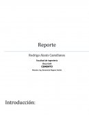 Reporte cementera