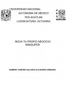 INICIA TU PROPIO NEGOCIO: MINISUPER