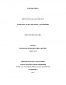 TECNOLOGIA EN MANEJO DE PETROLEO Y GAS EN SUPERFICIE