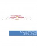 Trabajo de mp DEDICATORIA