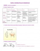 TAREA: BIOMOLÉCULAS ORGÁNICAS