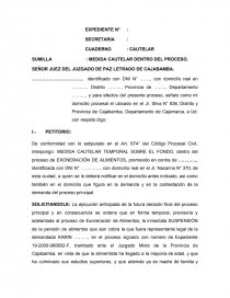 MODELO DE MEDIDA CAUTELAR PARA EXONERACION DE ALIMENTOS - Trabajos -  Cristian Fernando Carrasco Vasquez