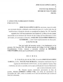 Ejemplo de una Demanda divorcio voluntario - Monografías - Alejandro Alex