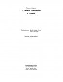 La Física en el Taekwondo Y La Apnea