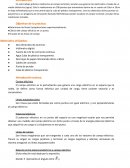 Fisica: Campo electrico