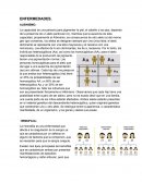 ENFERMEDADES. ALBINISMO