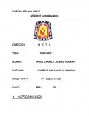 Mi herbario: Viaje por la diversidad y ciclos de las plantas