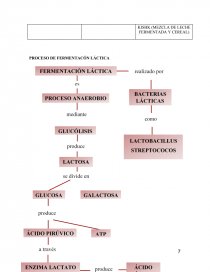 Proceso d efermnetación láctica - Trabajos - Valeria Zuluaga