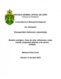 Modelo ecológico: Caso de vida, reflexiones, mapa mental, preguntas  abiertas y de opción múltiple - Ensayos - marianapt45