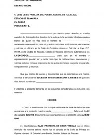 JUICIO: INTESTAMENTARIO - Trabajos - cvazquezaicm