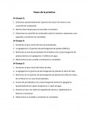 Pasos de la practica