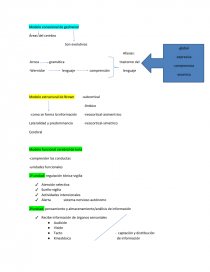 Trabajo modelo de Brown - Trabajos - javieraxs