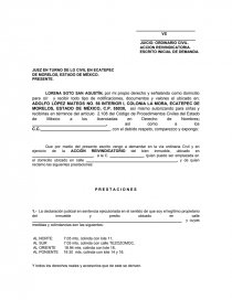 ACCION REIVINDICATORIA. ESCRITO INICIAL DE DEMANDA - Resúmenes - panchii19