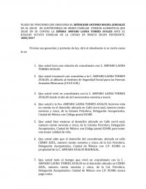 Modelo pliego de posiciones - Documentos de Investigación - Antonio Miguel  Flores
