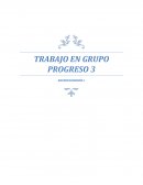 TRABAJO EN GRUPO PROGRESO 3 MICROECONOMÍA I