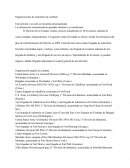 Organizaciones de maniobras de combate