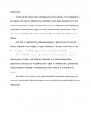 Cono Sur BI
