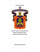 La crisis de la administracion publica