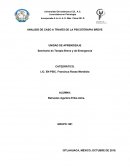 ANALISIS DE CASO A TRAVES DE LA PSICOTERAPIA BREVE