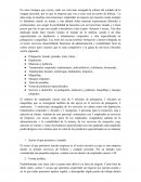 Crear un centro de belleza