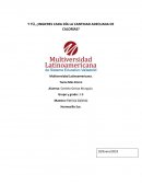 Y TÚ, ¿INGIERES CADA DÍA LA CANTIDAD ADECUADA DE CALORÍAS?