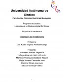Integración Metabólica