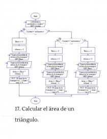 Diagramas de flujo con raptor - Prácticas o problemas - Julieta Marcelo