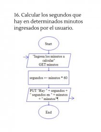 Diagramas de flujo con raptor - Prácticas o problemas - Julieta Marcelo